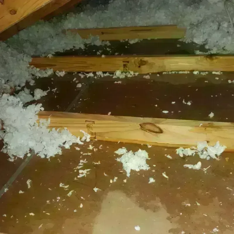 Attic Water Damage in La Paloma, TX