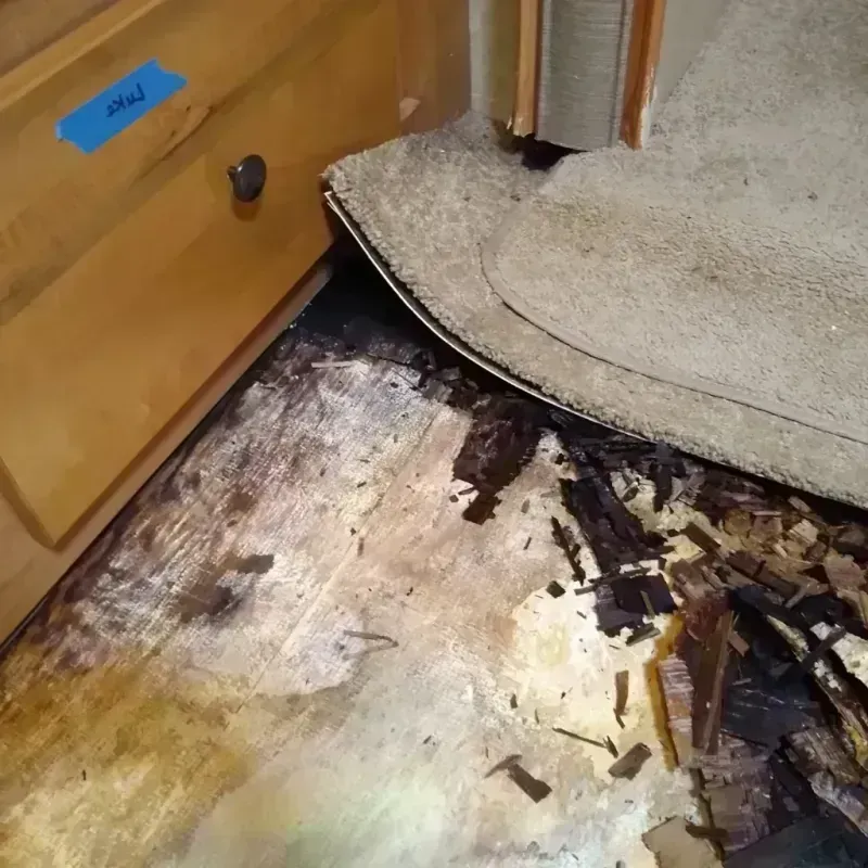 Wood Floor Water Damage in La Paloma, TX